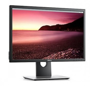 DELL 22 PRO P2217 (16:10/TN/PIVOT)