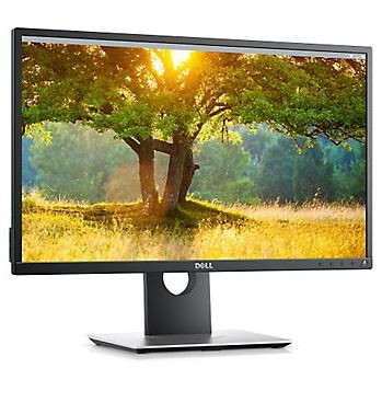DELL 24 PRO P2417H (FHD/16:9/IPS/HAS/PIVOT)